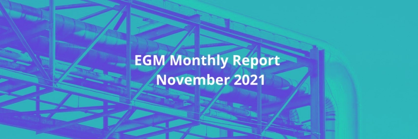 EGM Monthly Report – November 2021